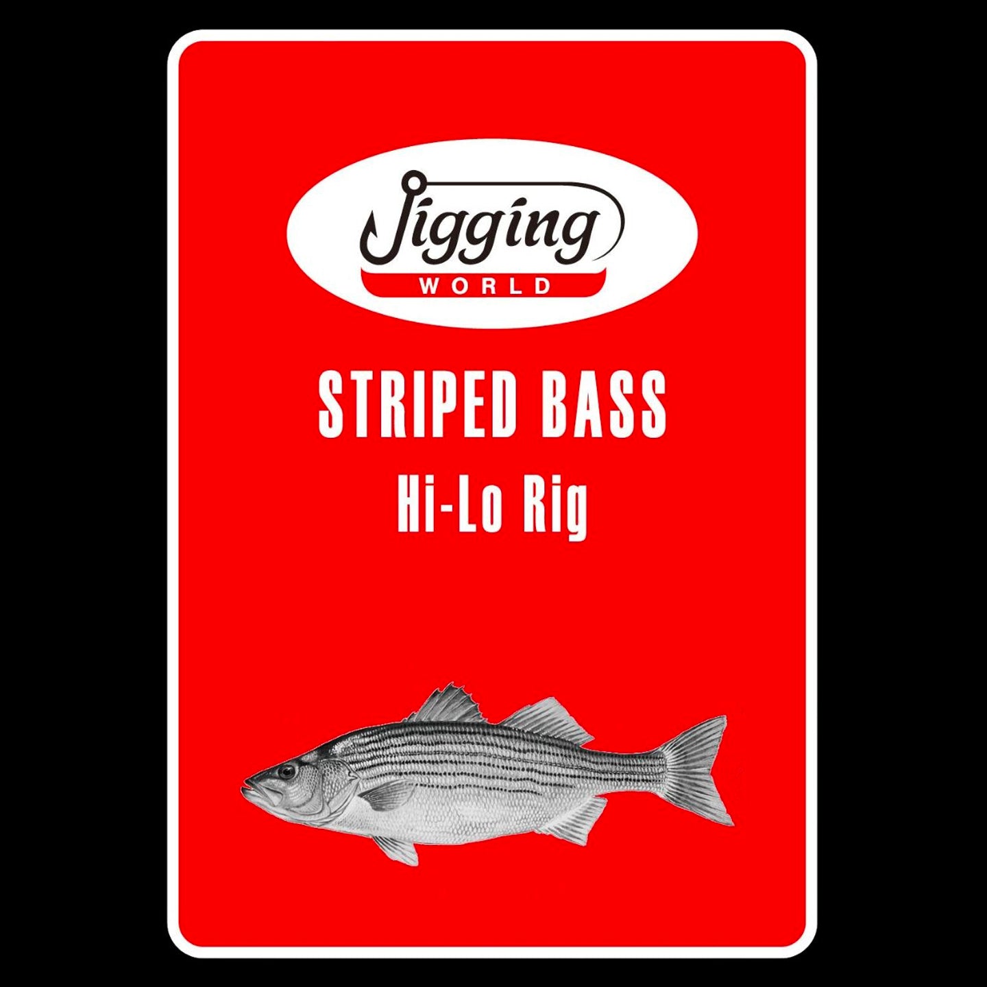 Jigging World Striped Bass Rigs