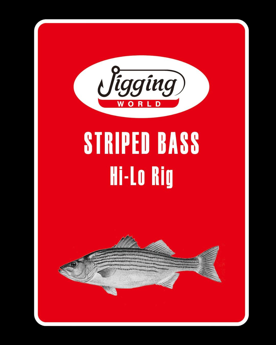 Jigging World Striped Bass Rigs