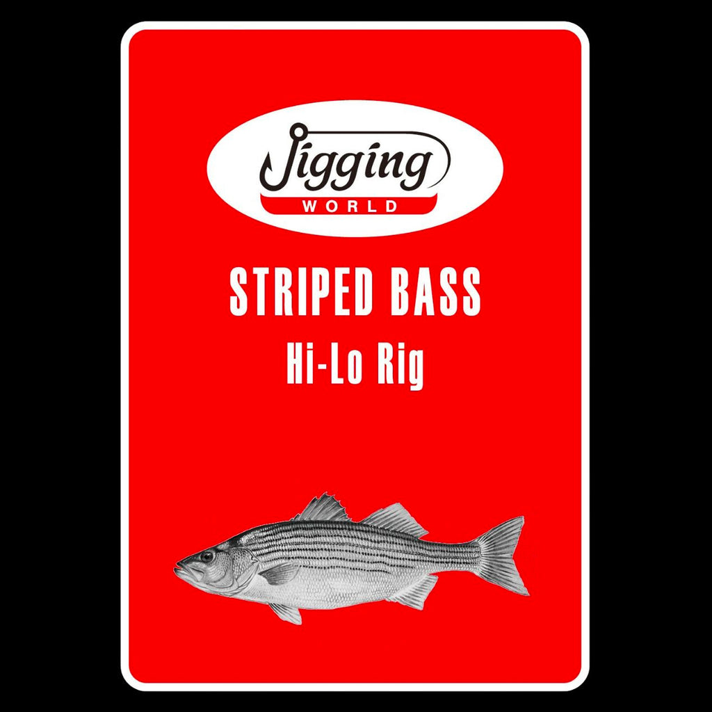 Striped Bass Surf Fishing Rigs For Red Drum Surf And Drum Fishing